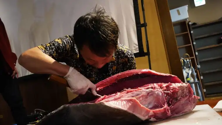 Bluefin tuna cutting show in Nagoya